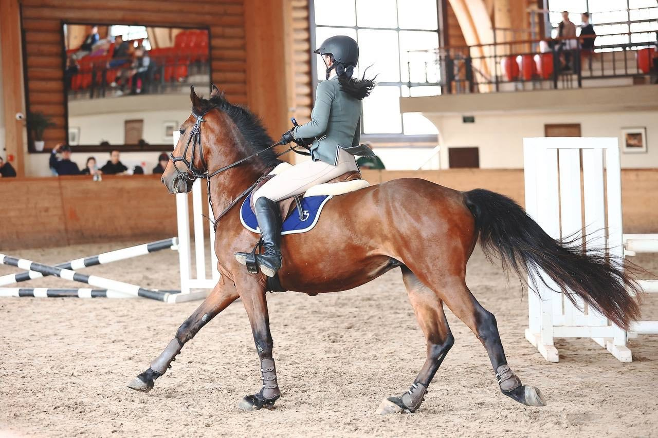 Фотосессия с лошадью в коншне в Москве