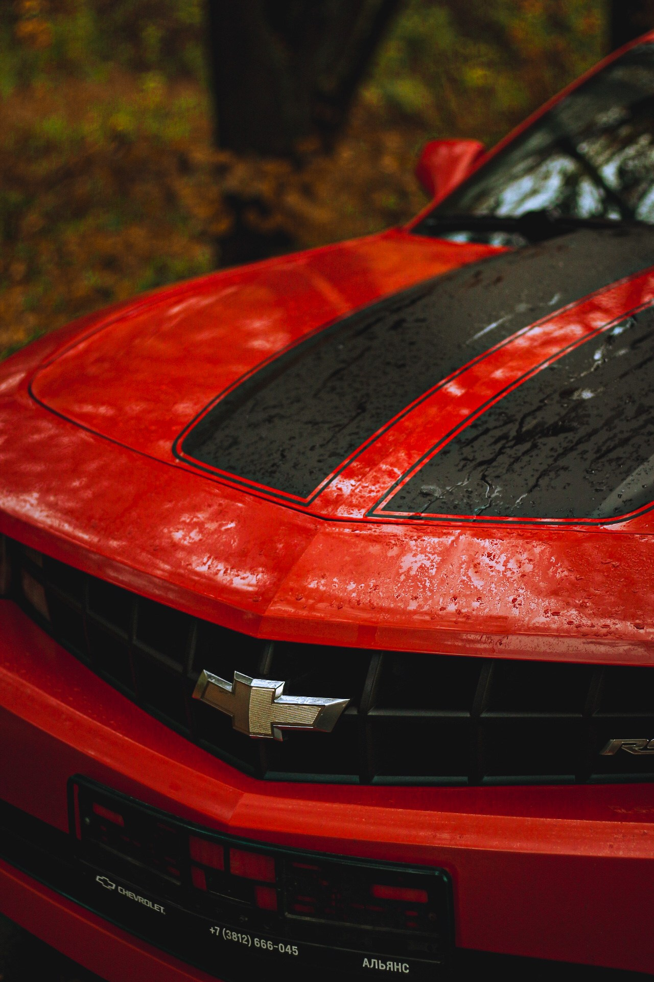 Cars. Фотограф Ксюша Костюченко