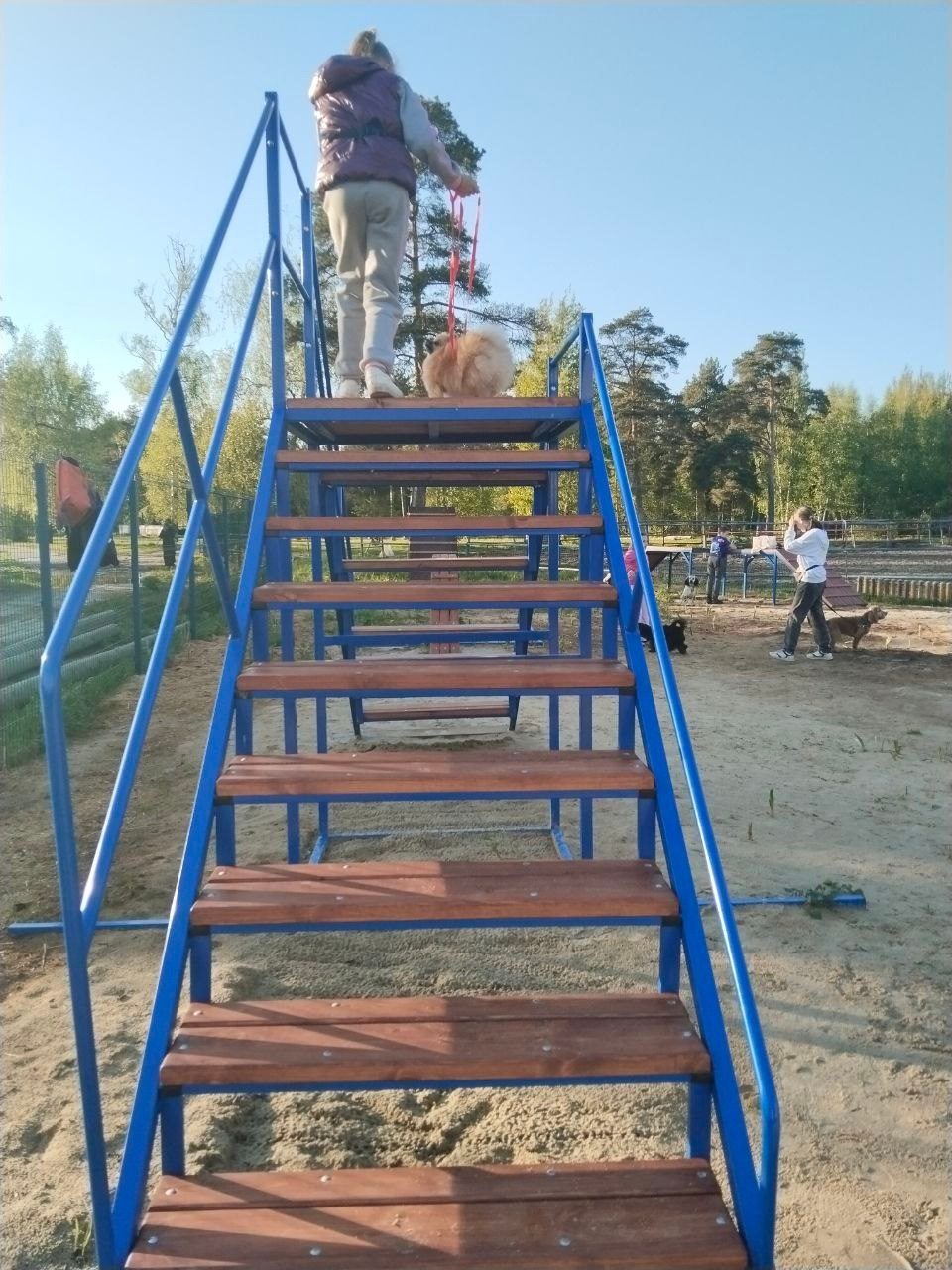 Практические занятия по дрессировке. НРОО КЦ "Собаковод"