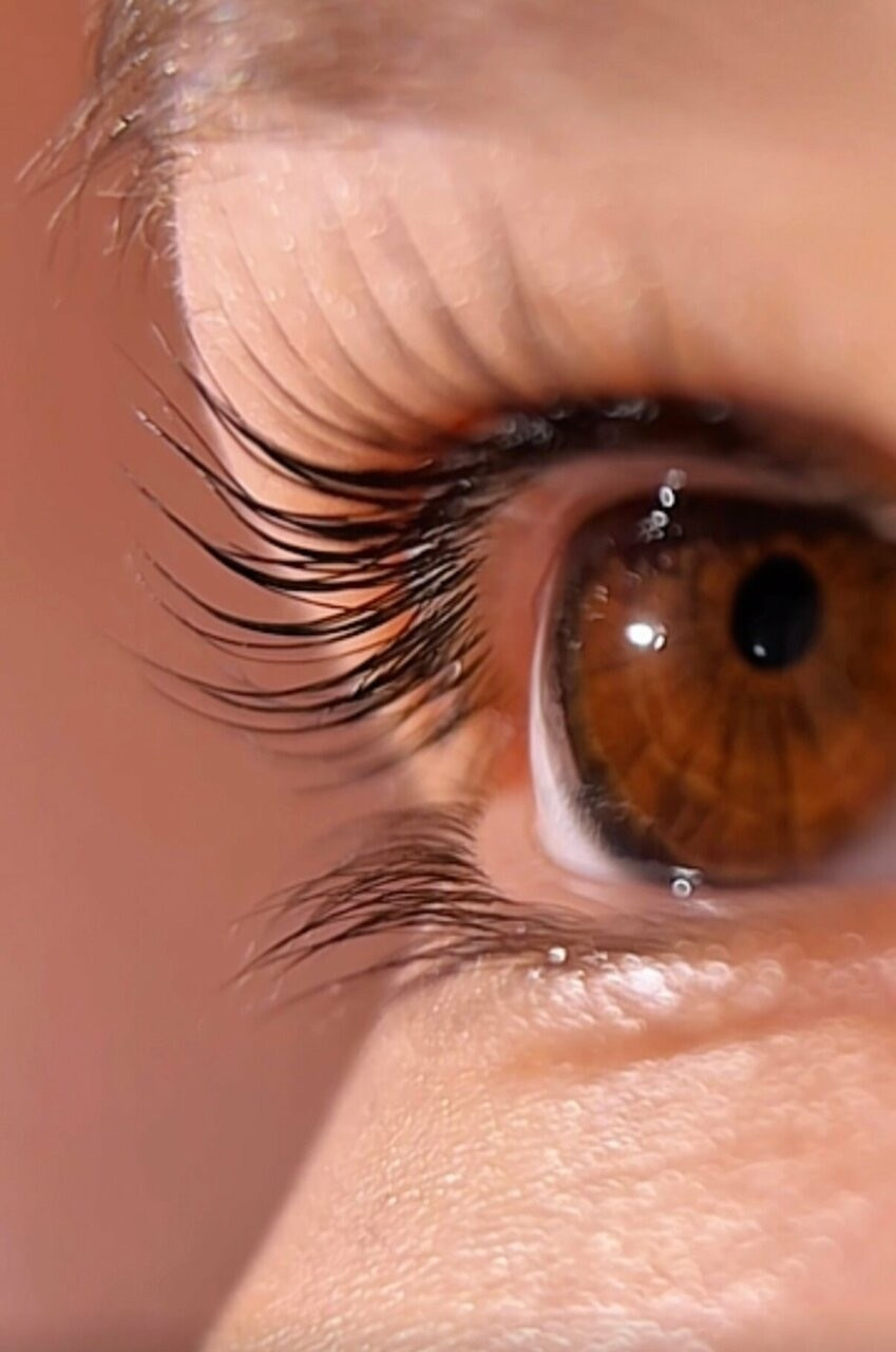 БРОВИ И РЕСНИЦЫ. Студия «Религия Красоты», метро Яхромская