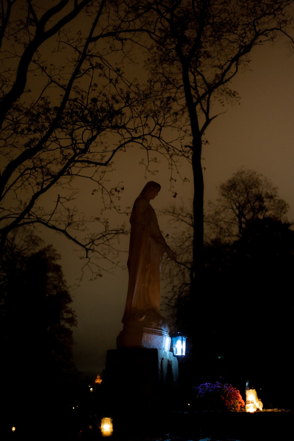 Visų šventųjų diena. Photographer in Vilnius