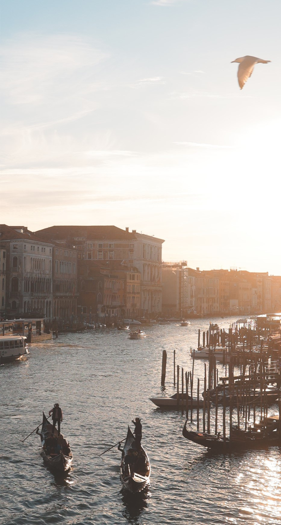 Портфолио. 10sphoto