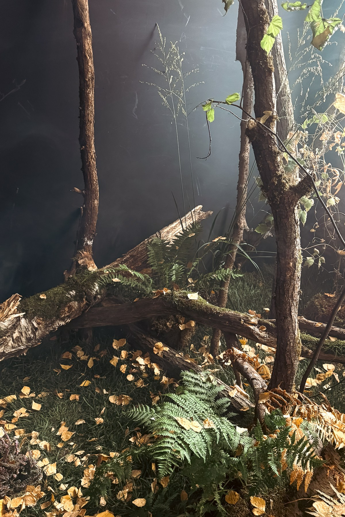 Лучшие фотостудии Москвы для съемки одежды и других товаров