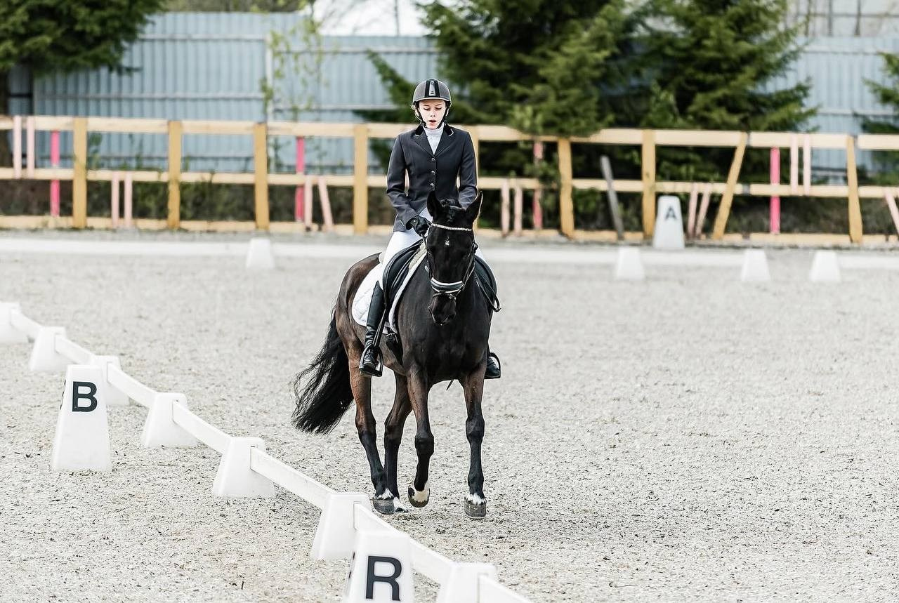 Кубок Московской области по выездке, КСК «Эквиторус». Конный фотограф Куракина Дарья • Фотосессии с лошадьми