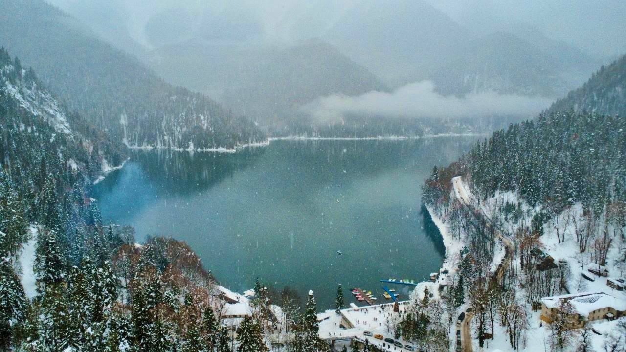 Абхазия. Мимоза. Ольга Котова