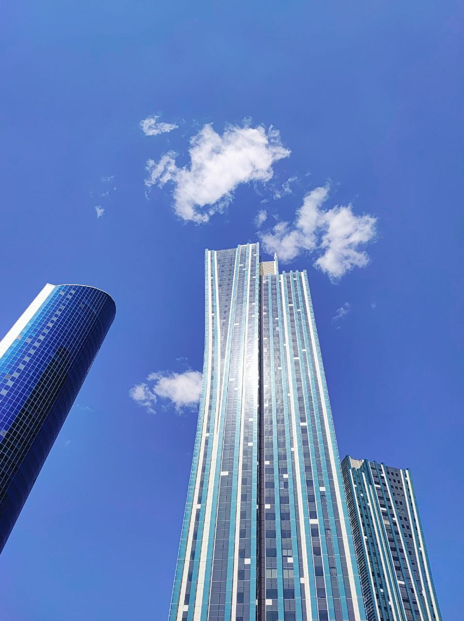 Намобилкус казахский. Репортажный фотограф Алексей Пирязев