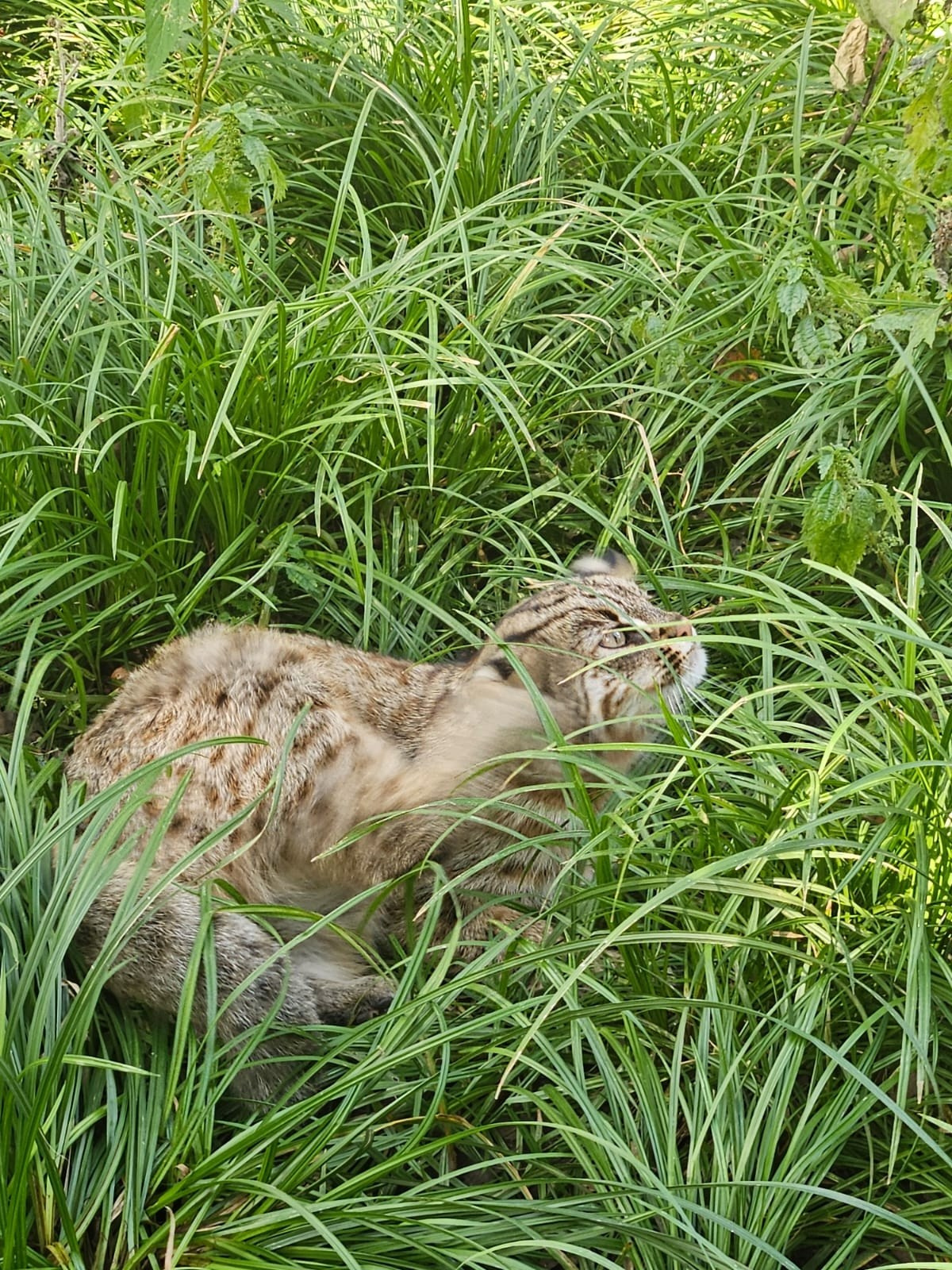 Владивосток 1 | 18-21.09.2025. Галерея Фантим