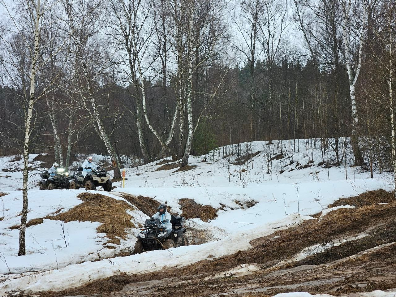 Квадрики | 24.03.24. Галерея Фантим