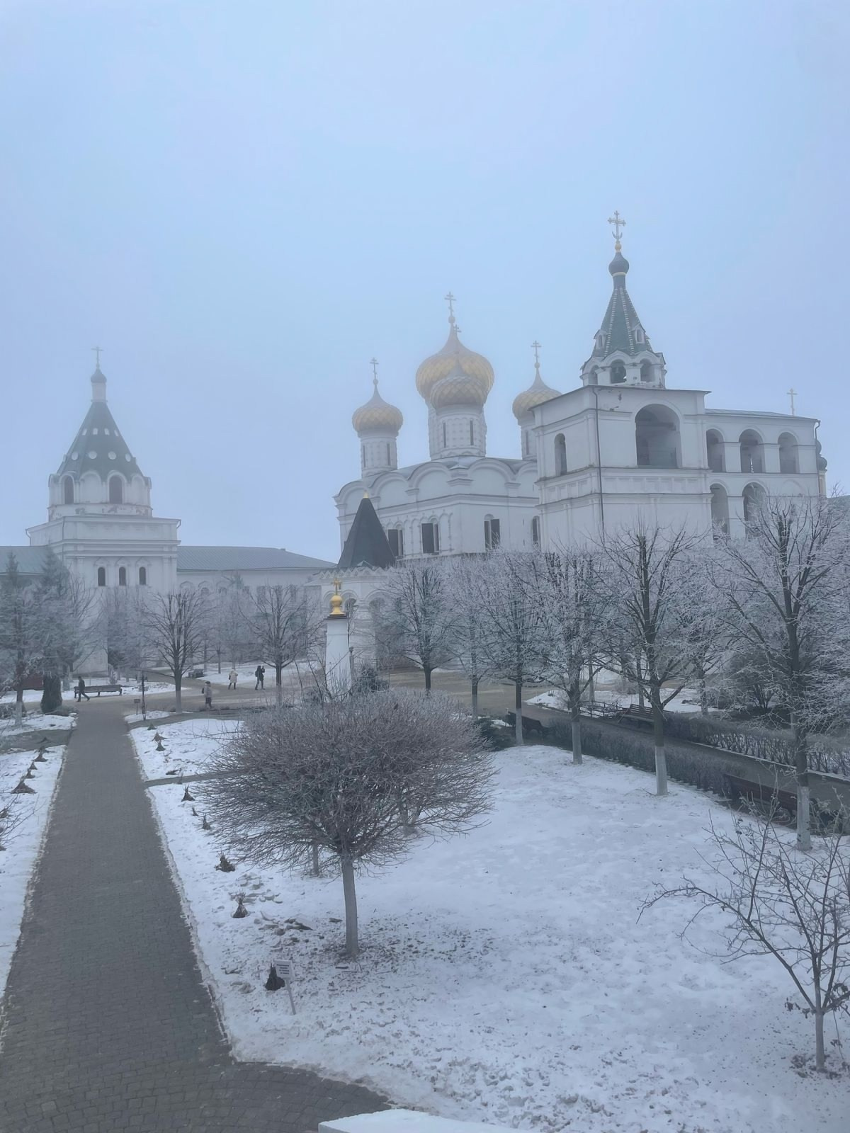 Кострома | 08-09.02.2025. Галерея Фантим