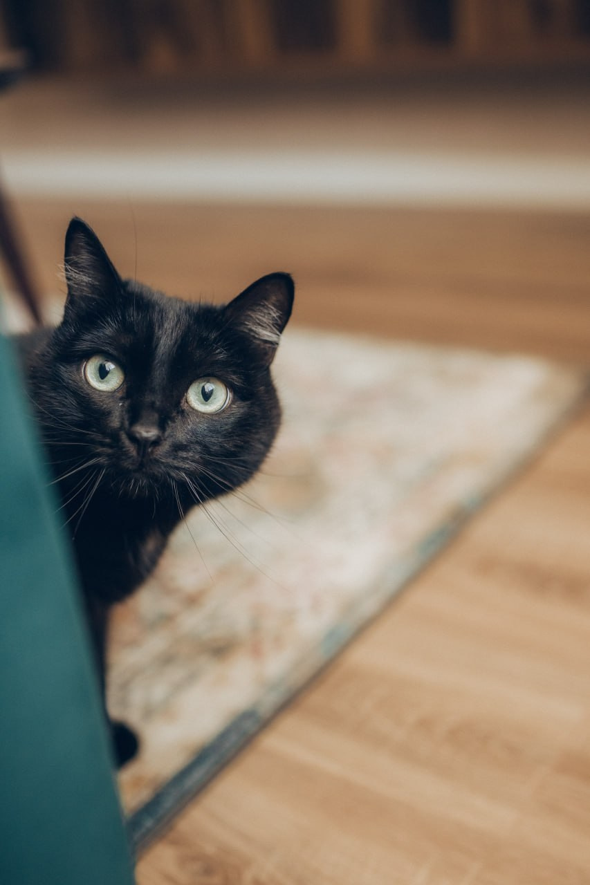 Веселое ожидание. Семейный фотограф в Казани Шамгулова Марина