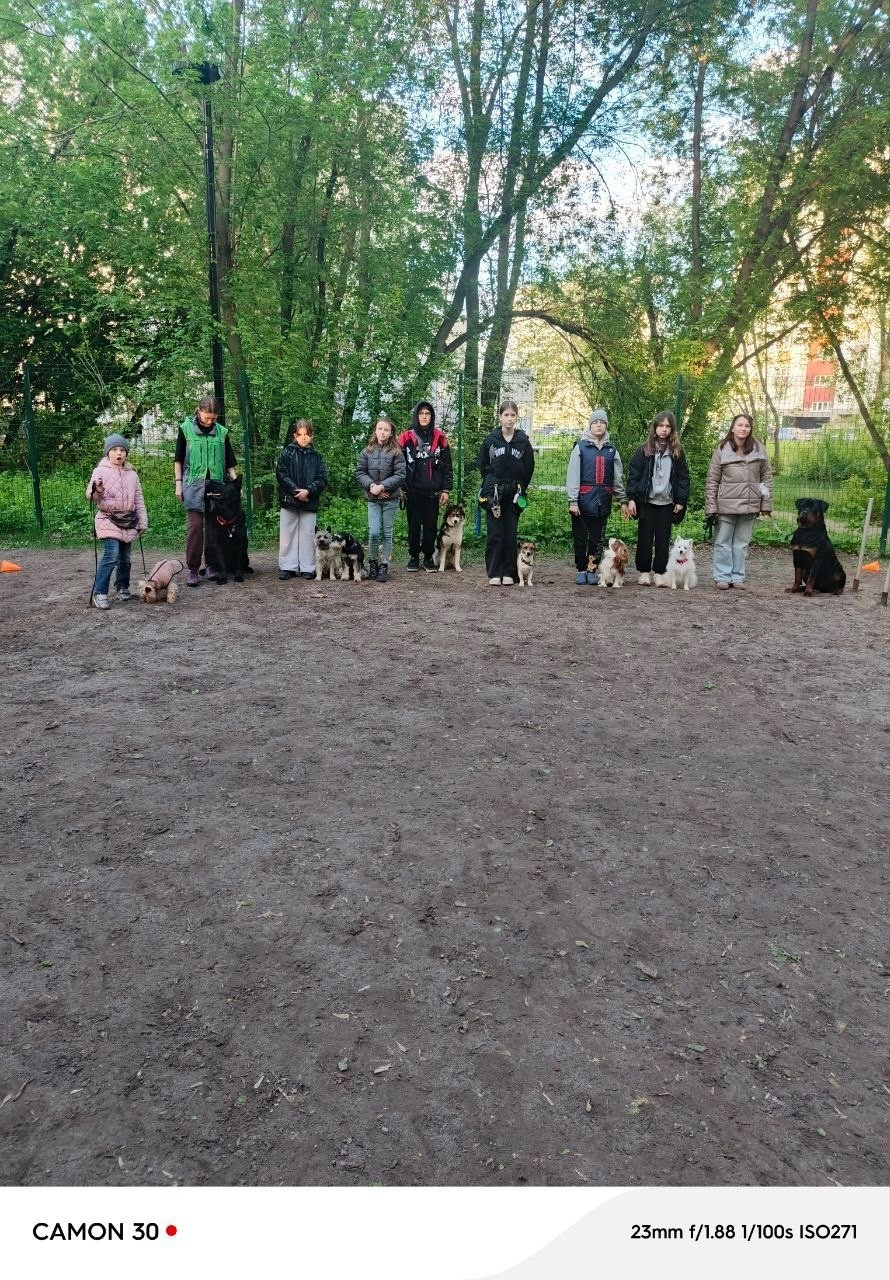 Практические занятия по дрессировке. НРОО КЦ "Собаковод"