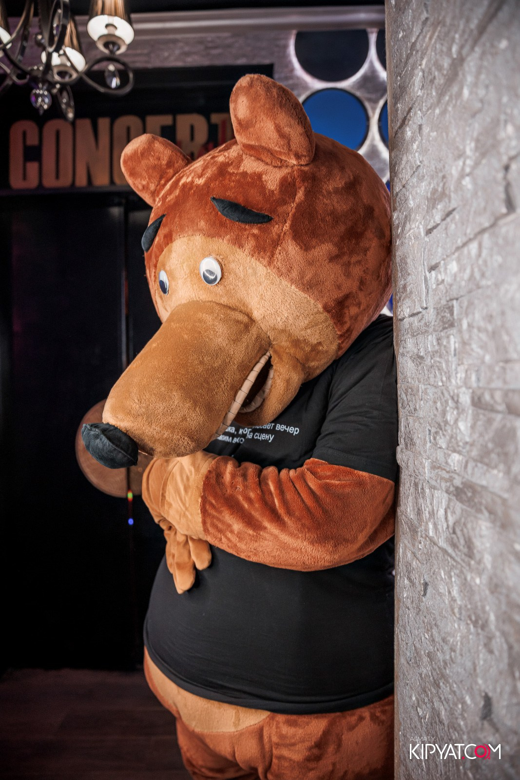 УХО И МЕДВЕДЬ НА ГАГАРИНА. КИПЯТКОМ АЛМАТЫ!