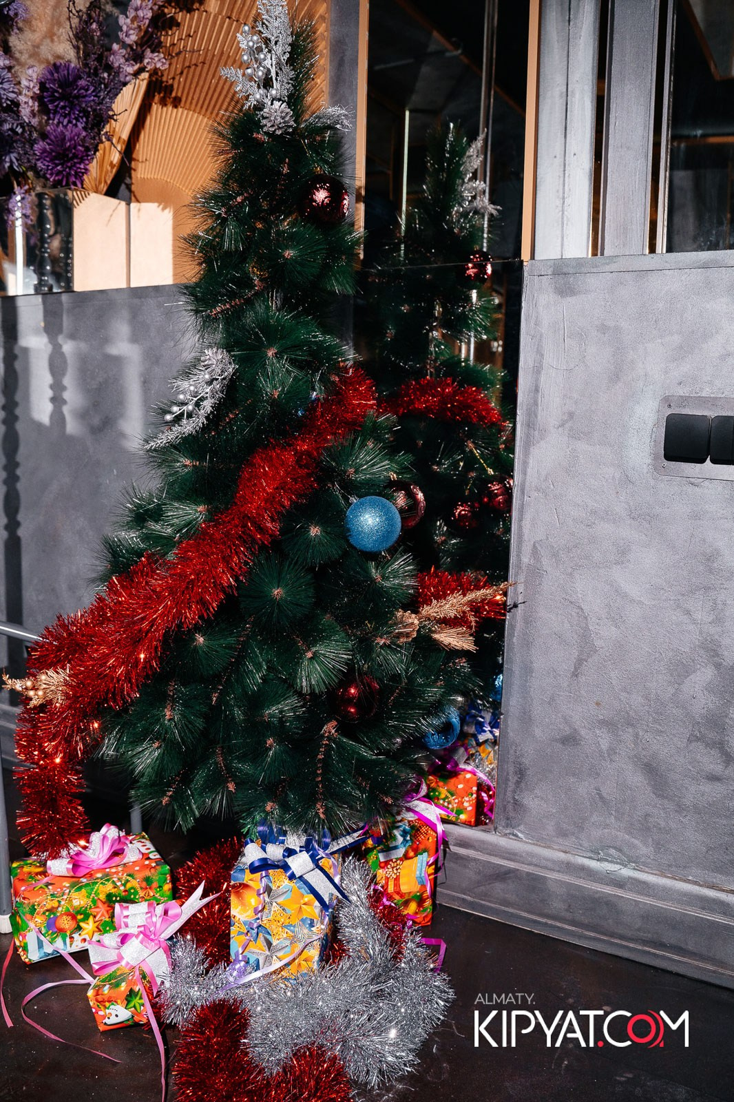 УХО И МЕДВЕДЬ НА ГАГАРИНА. КИПЯТКОМ АЛМАТЫ!