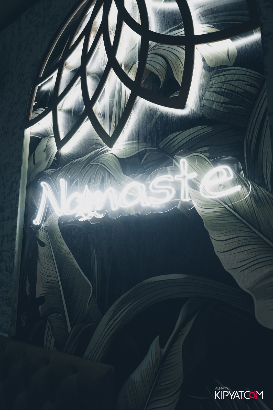 УХО И МЕДВЕДЬ НА КУРМАНГАЗЫ. КИПЯТКОМ АЛМАТЫ!