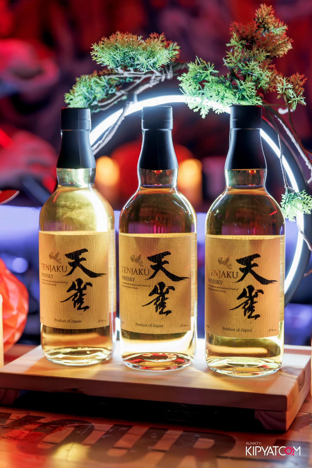 TENJAKU PROMO 2025 «HALLOWEEN PARTY» BHB. КИПЯТКОМ АЛМАТЫ!