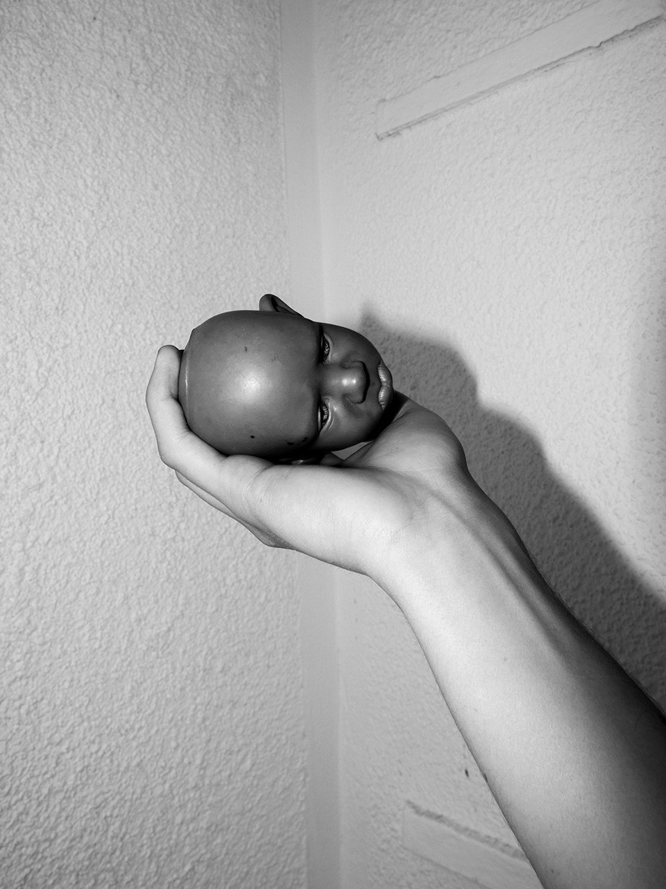 ОБЗОР АКТУАЛЬНЫХ ФОТОКНИГ: Porcelain and Wool. Самоорганизация Низина