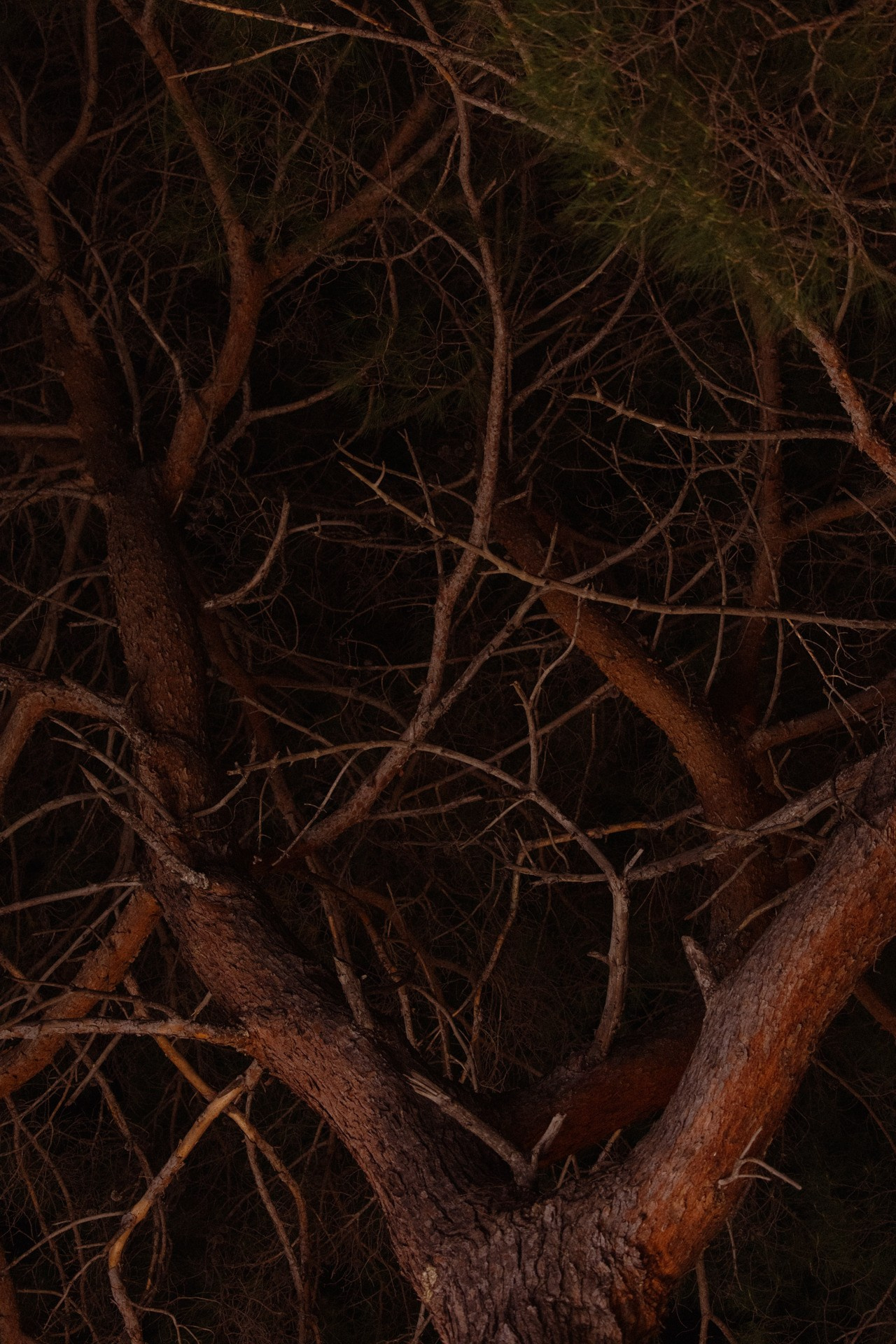 Море. Свадебный фотограф в Москве Александр Рыжков