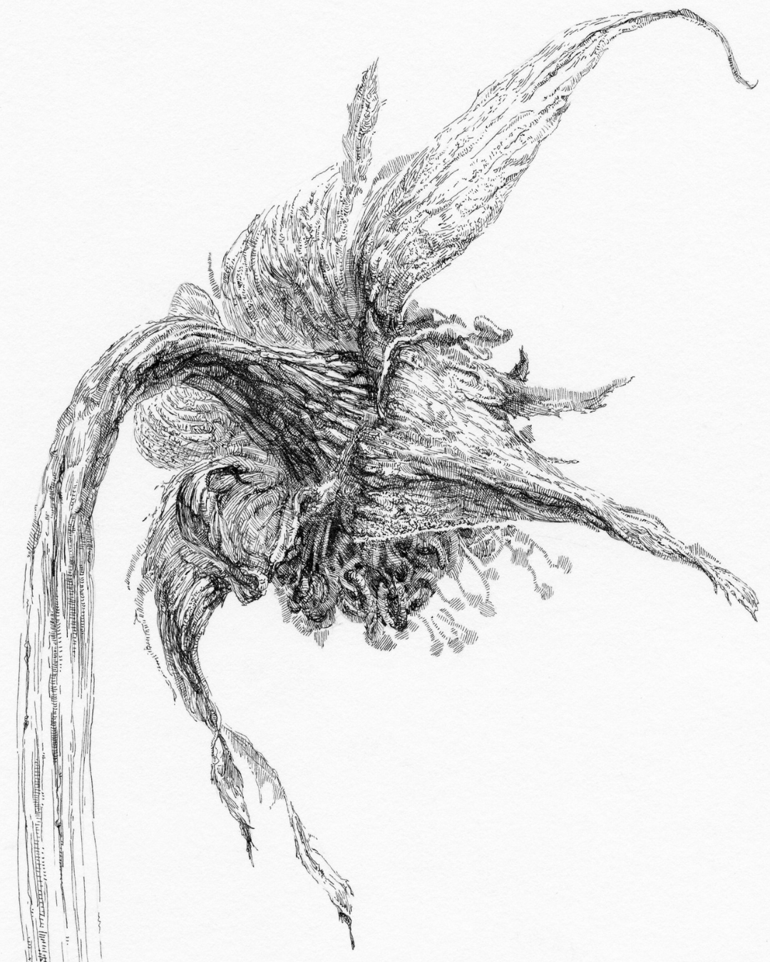 After Bouquet. Rose. 3. Nadezhda Polomoshnova, fine artist in Charleston