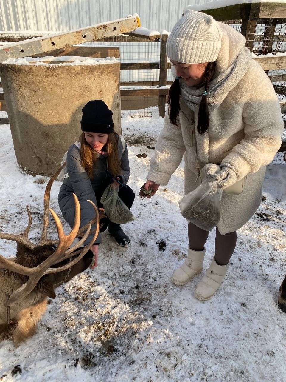 В гости к северным оленям | 02.12.2023. Галерея Фантим