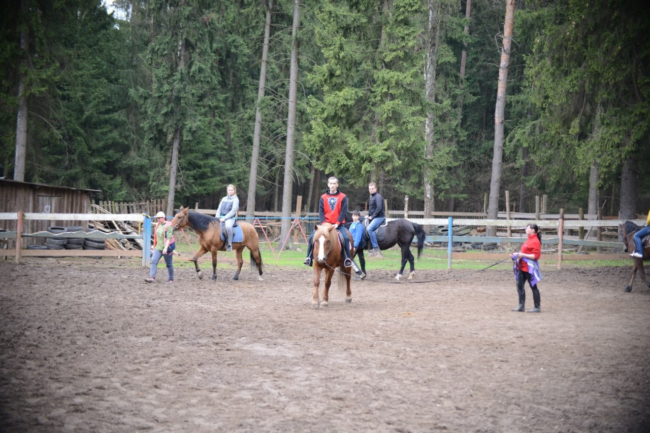 Лошадинг | 01.05.2015. Галерея Фантим