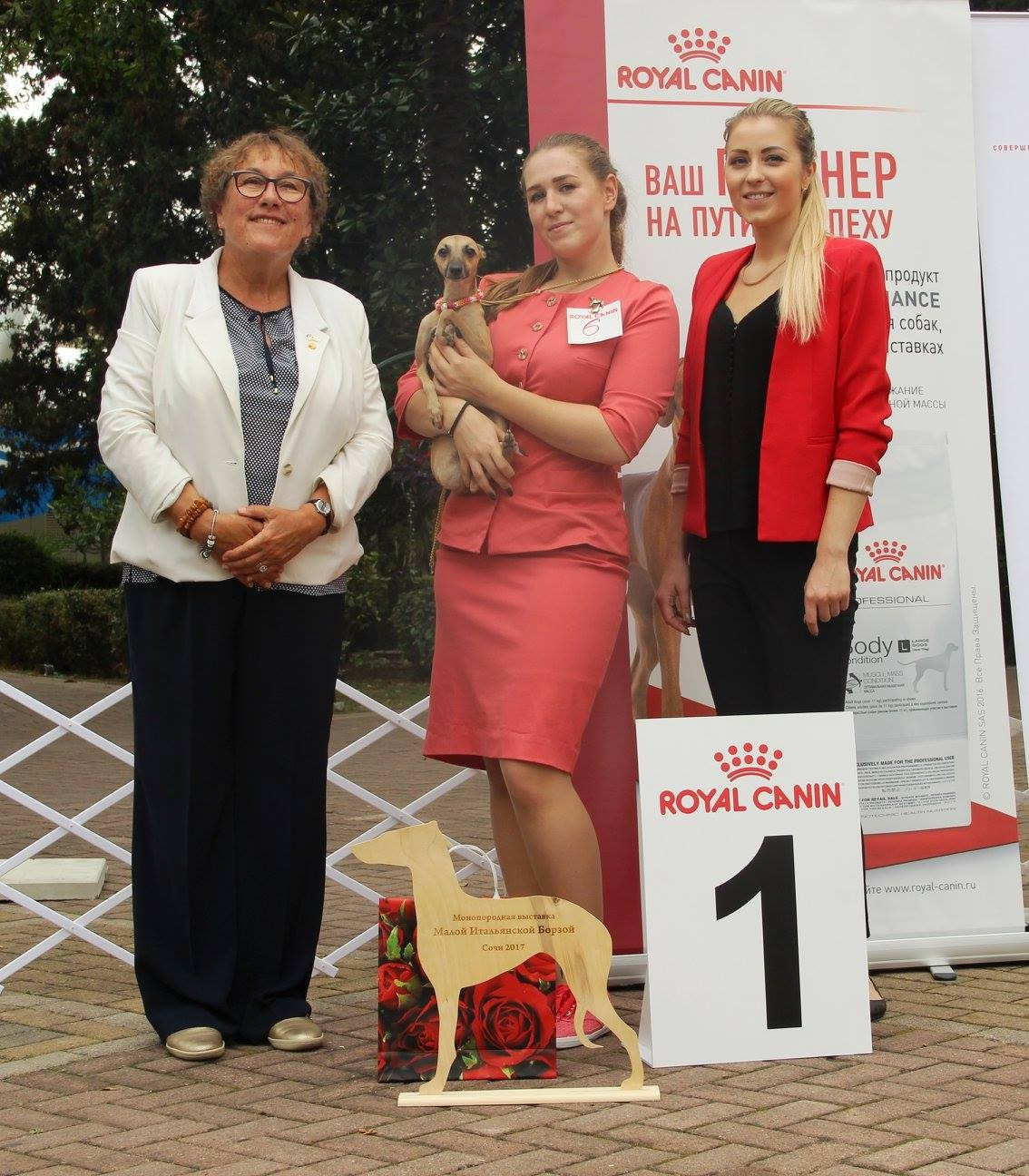 Организация монопородной выставки. Профессиональный питомник левреток РКФ/FCI ASTI SAPPHIRE 💎 Сочи|Санкт-Петербург