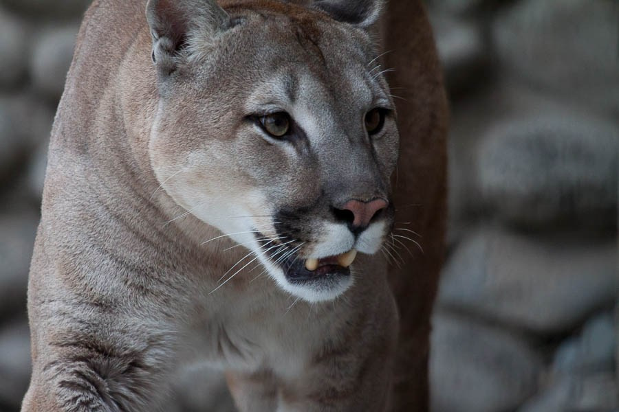 Street art. Фотостудия Алматы. Фотосъемка Алматы. Фотосессия Алматы. Фотокурсы. Обучение фотографии. Аренда студии