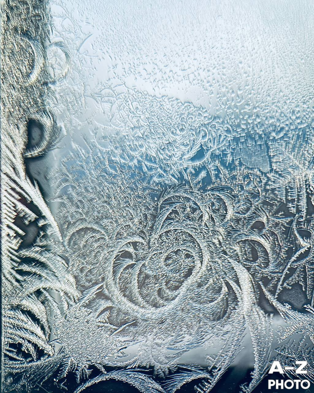 #ФОТОНЕДЕЛИ 26.01.2026. Женский семейный фотограф Тула Москва Захарова Анна