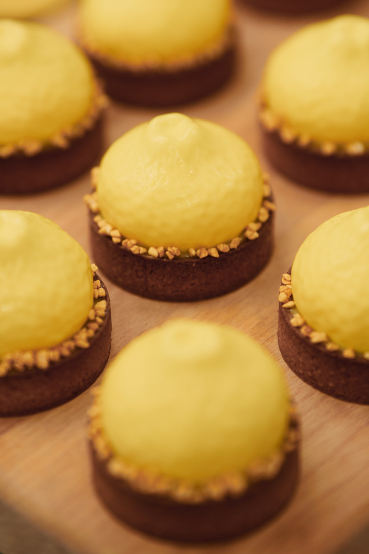 Irca Welcome Session. Фотограф Ольга Зинченко