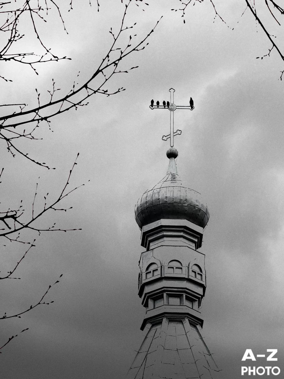 #ФОТОНЕДЕЛИ 20.04.2026. Женский семейный фотограф Тула Москва Захарова Анна