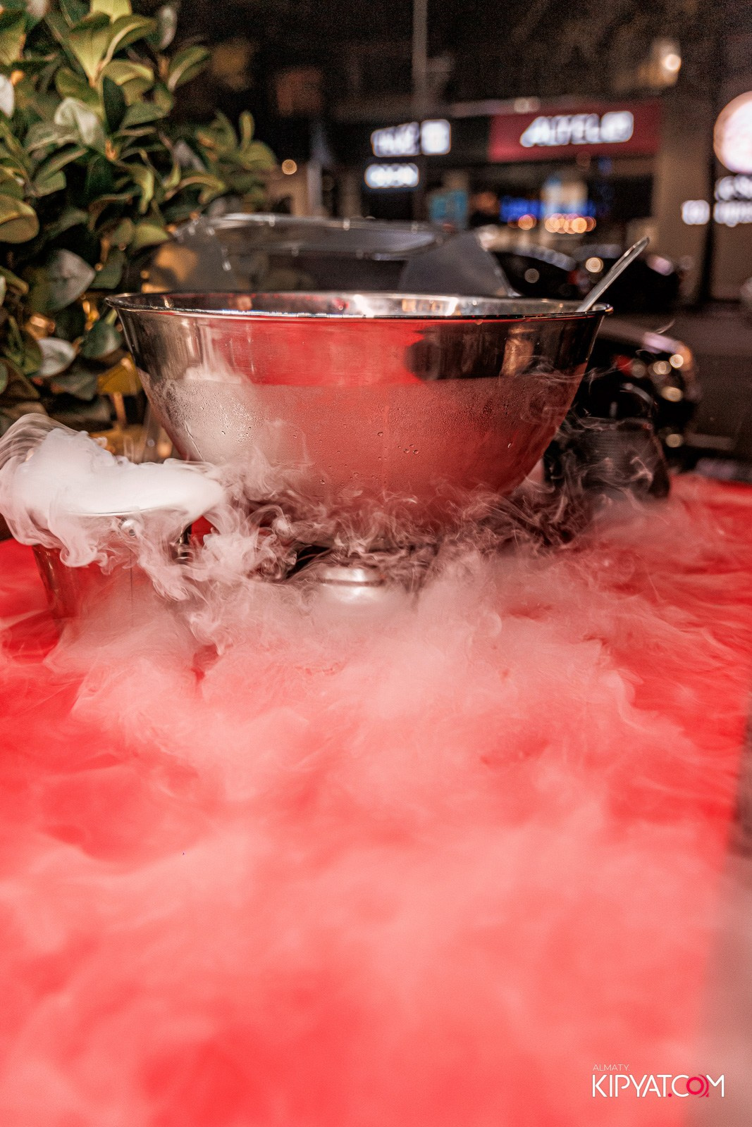 OLOVO BAR НА ДОСТЫК. КИПЯТКОМ АЛМАТЫ!