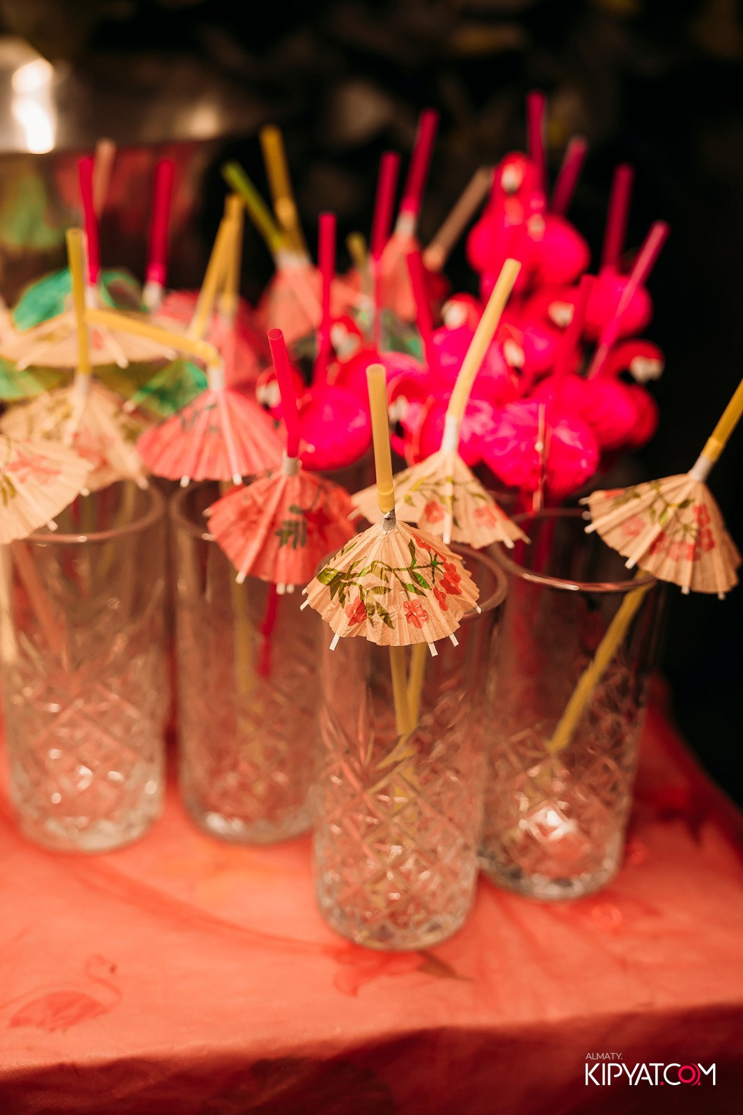 OLOVO BAR НА ДОСТЫК. КИПЯТКОМ АЛМАТЫ!