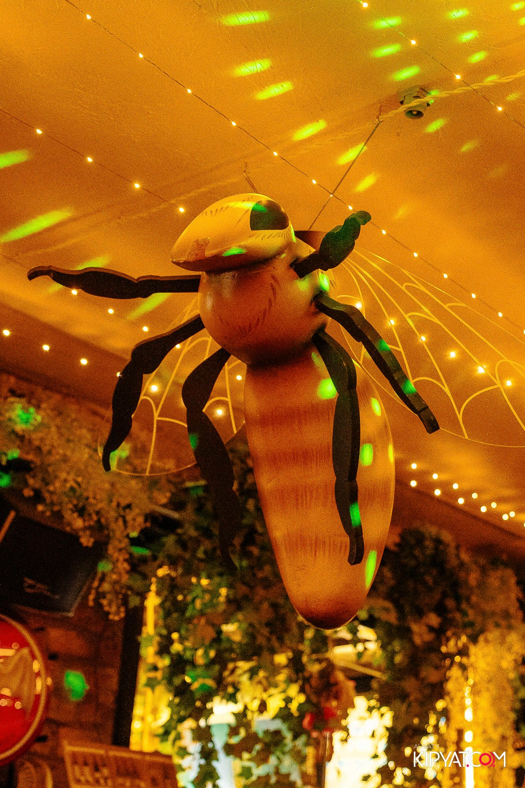 RE: SET. КИПЯТКОМ АЛМАТЫ! Фотосъемка мероприятий в Алматы