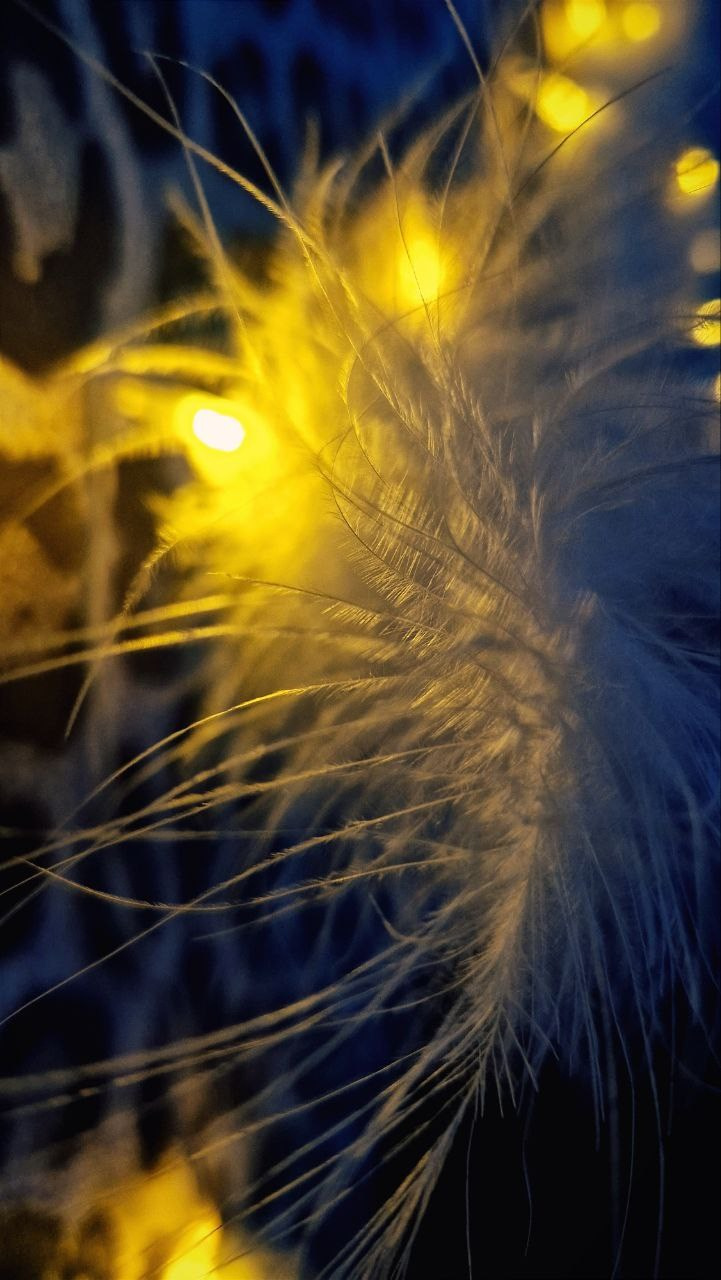 Мобильная фотография. Фотограф г. Владивосток