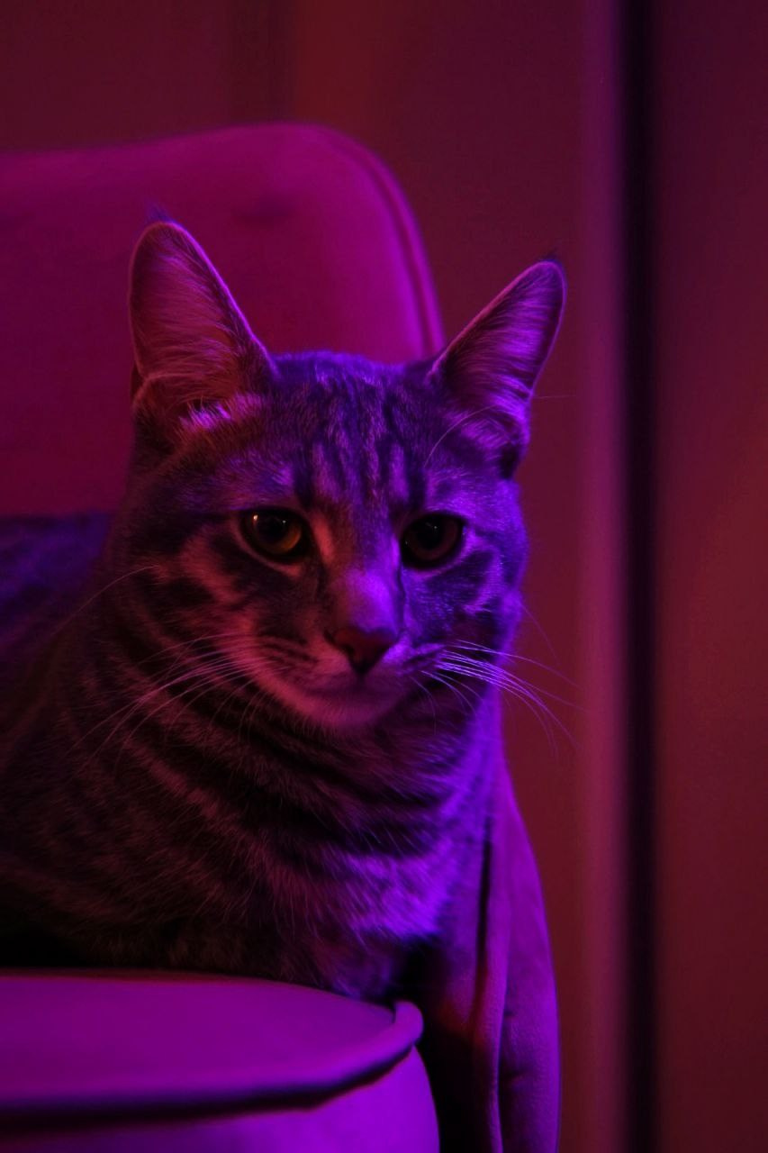 Мобильная фотография. Фотограф г. Владивосток