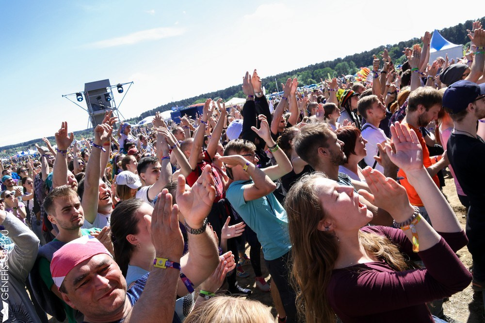 Фестиваль Дикая Мята. Репортажный и интерьерный фотограф Александра Солдатова