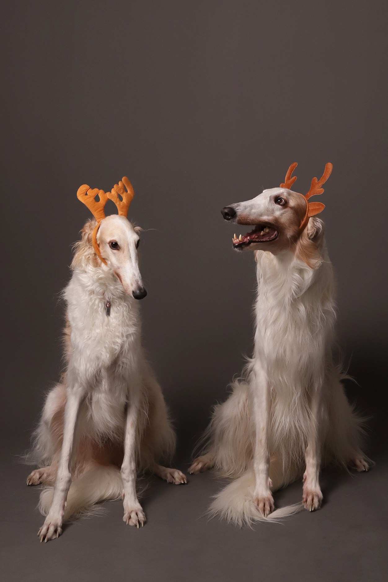 Уникальный формат съёмки без фотографа в Автопортретная в Самаре