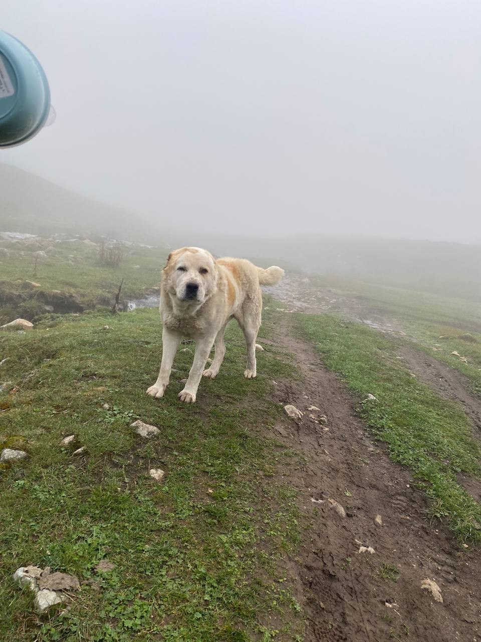 Блог про Верхнюю Балкарию. NECULTURED PHOTOGRAPHER