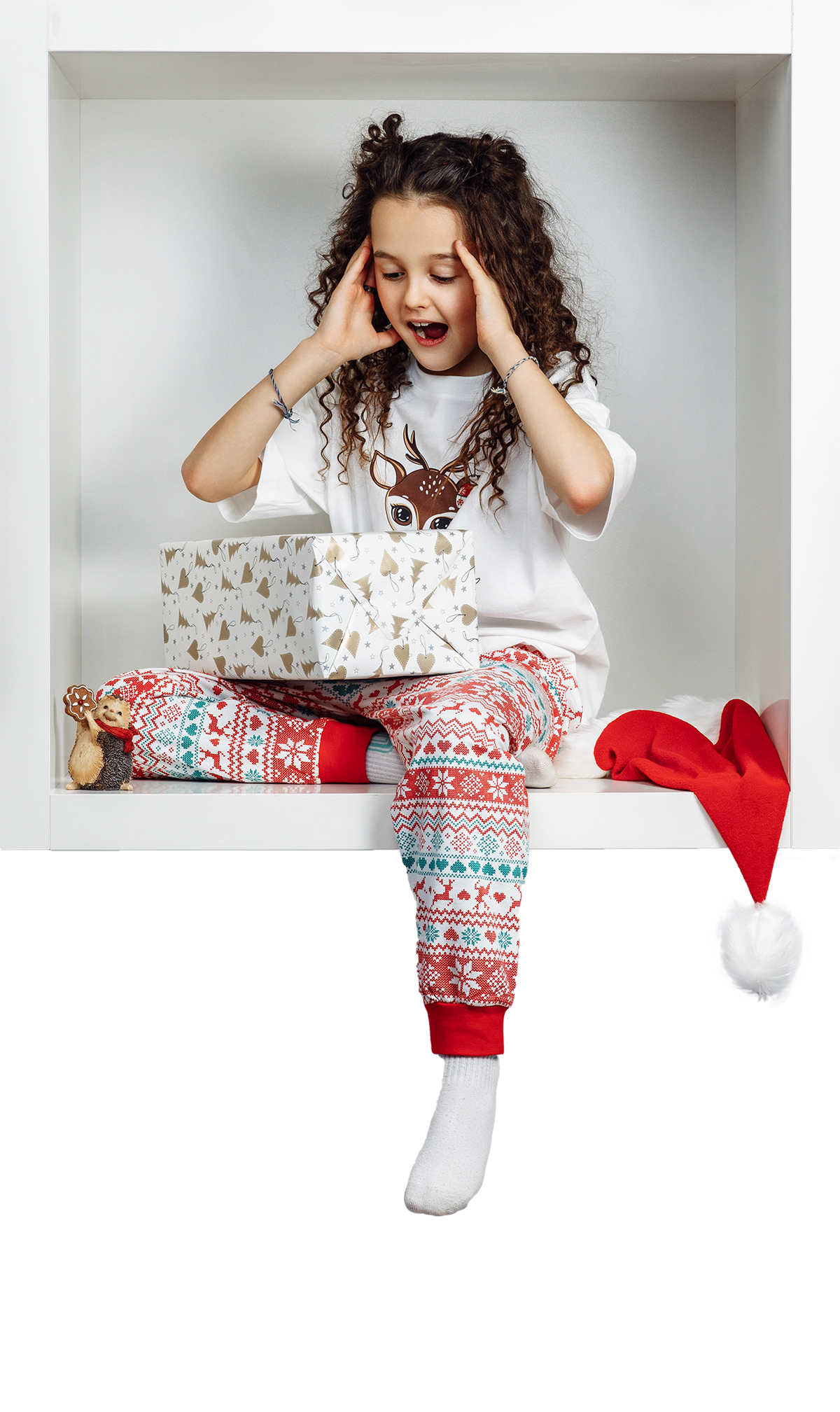 Фотопроект Новый год «В КУБИКЕ». Фотограф г. Зубцов Елена Соколова