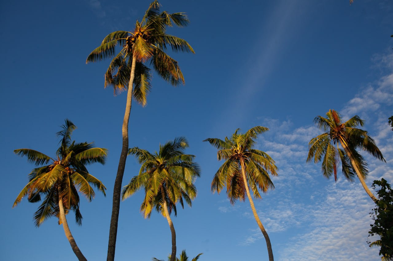 Фотограф Мельник Ирина. Москва