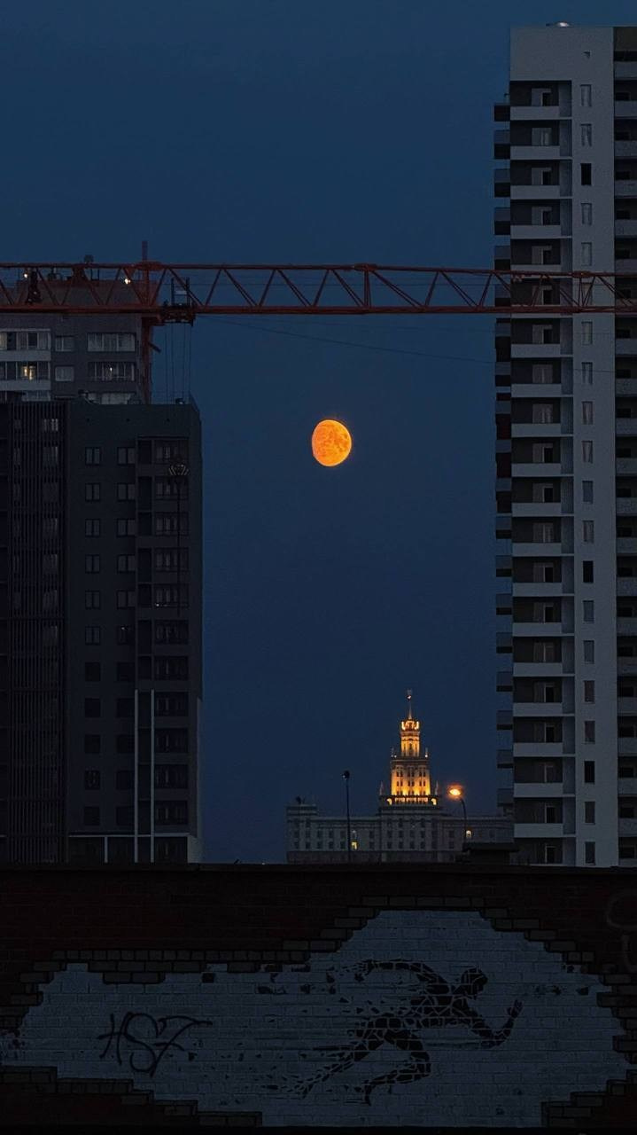 Через два три месяца. Онлайн фотошкола просто о фото, фотограф, психолог фототерапия москва сочи анна ивкина