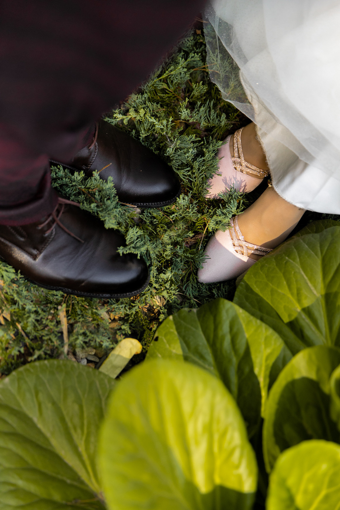 Катя и Сергей. 22 августа. Фотограф Белгород