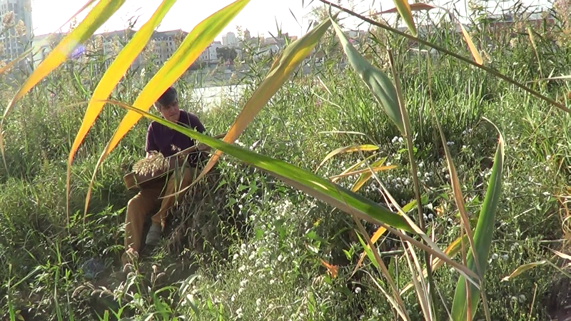 Обертоны. Artist Oleg Semenovykh