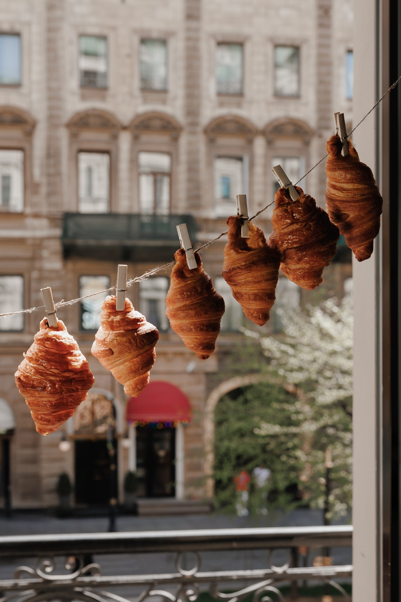 Goose Goose. Night2Day Санкт-Петербург