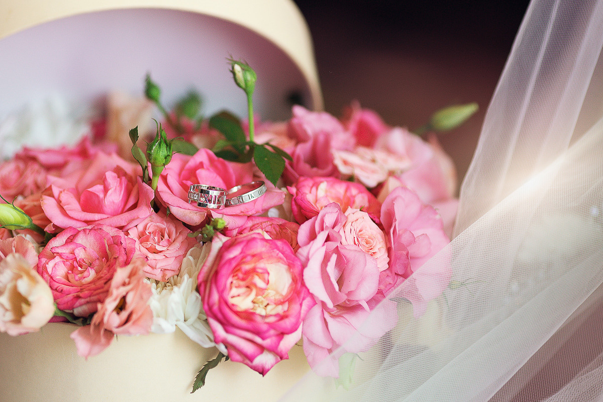 N&D. Фотограф в Сочи, Репортажный фотограф Виктор Кочков-Филатов