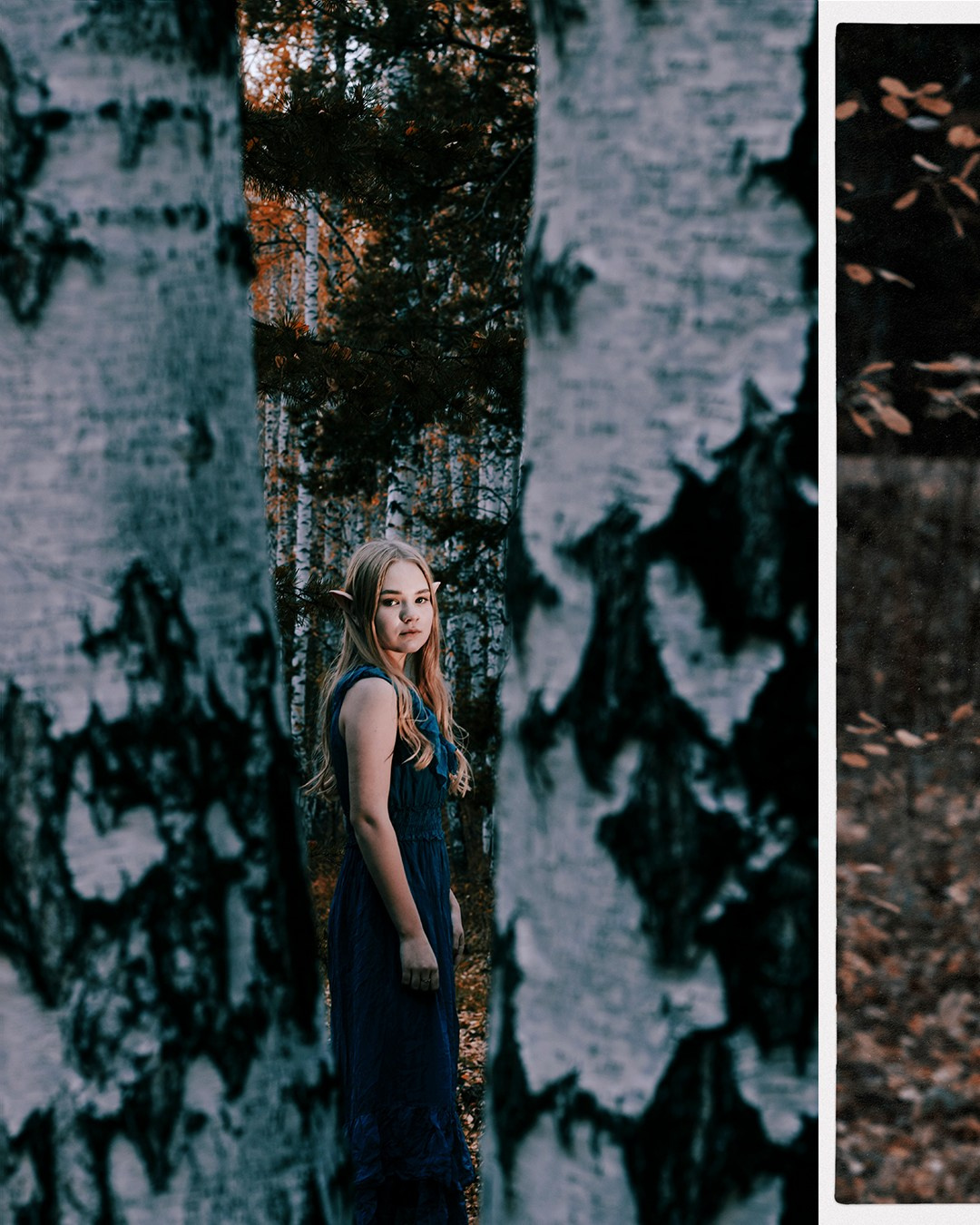 Сумерки Эльфа. 