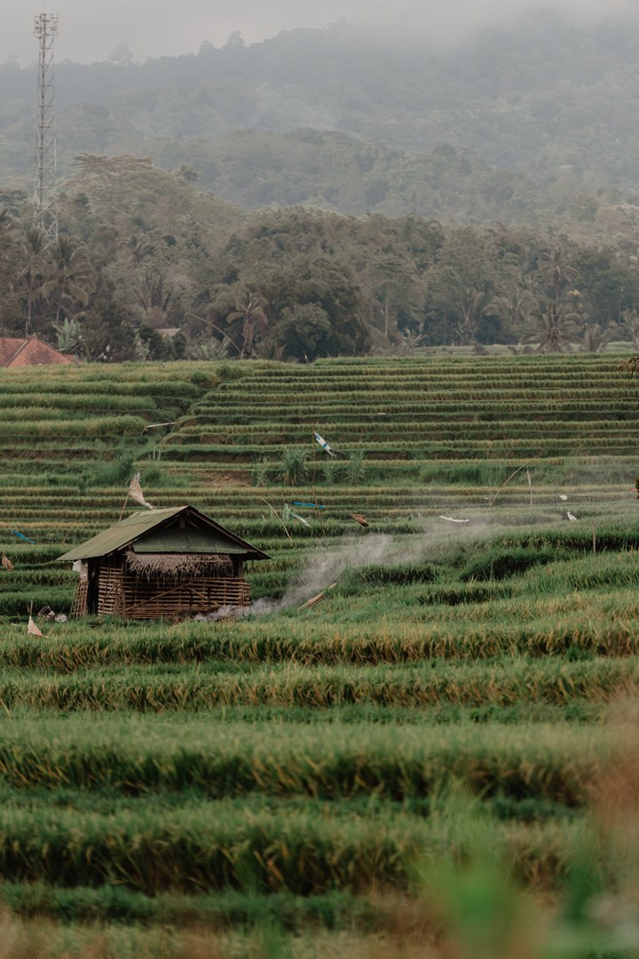 Bali. Indonesia. Photographer in Tokyo Anatolii Ozarto