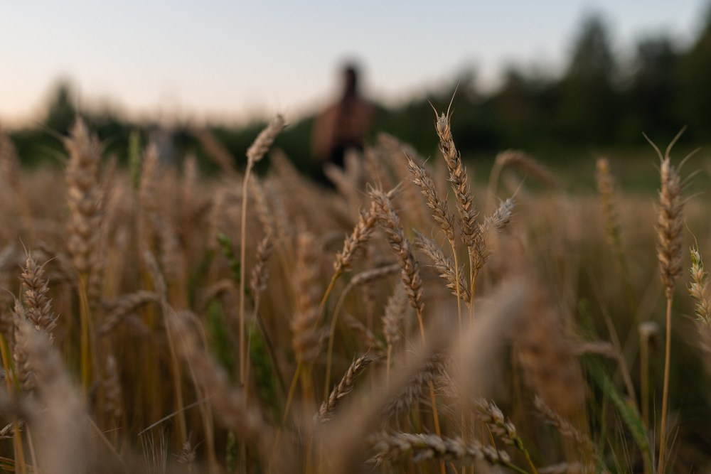 Поле, закат и наши улыбки. Фотограф Мария Ковкова