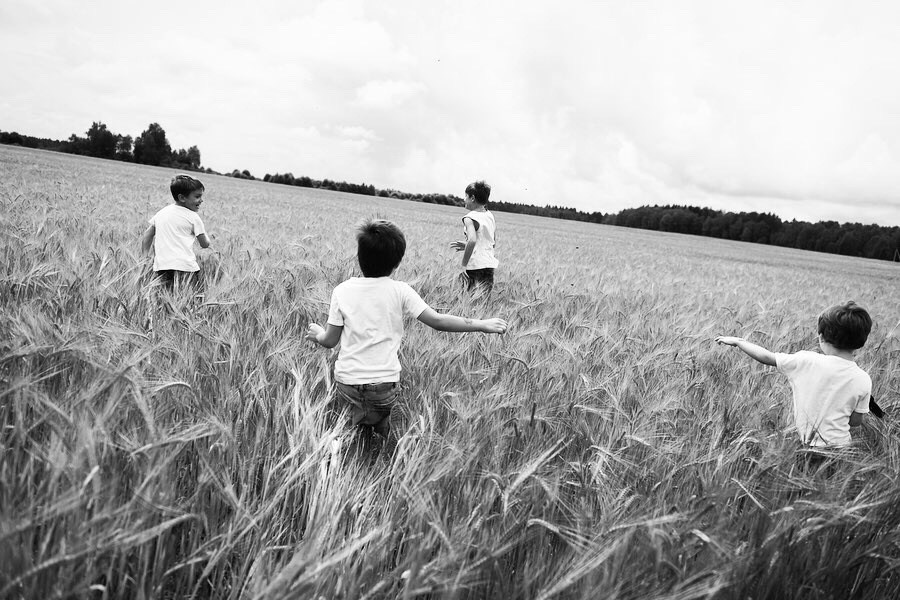 В поле. Главная