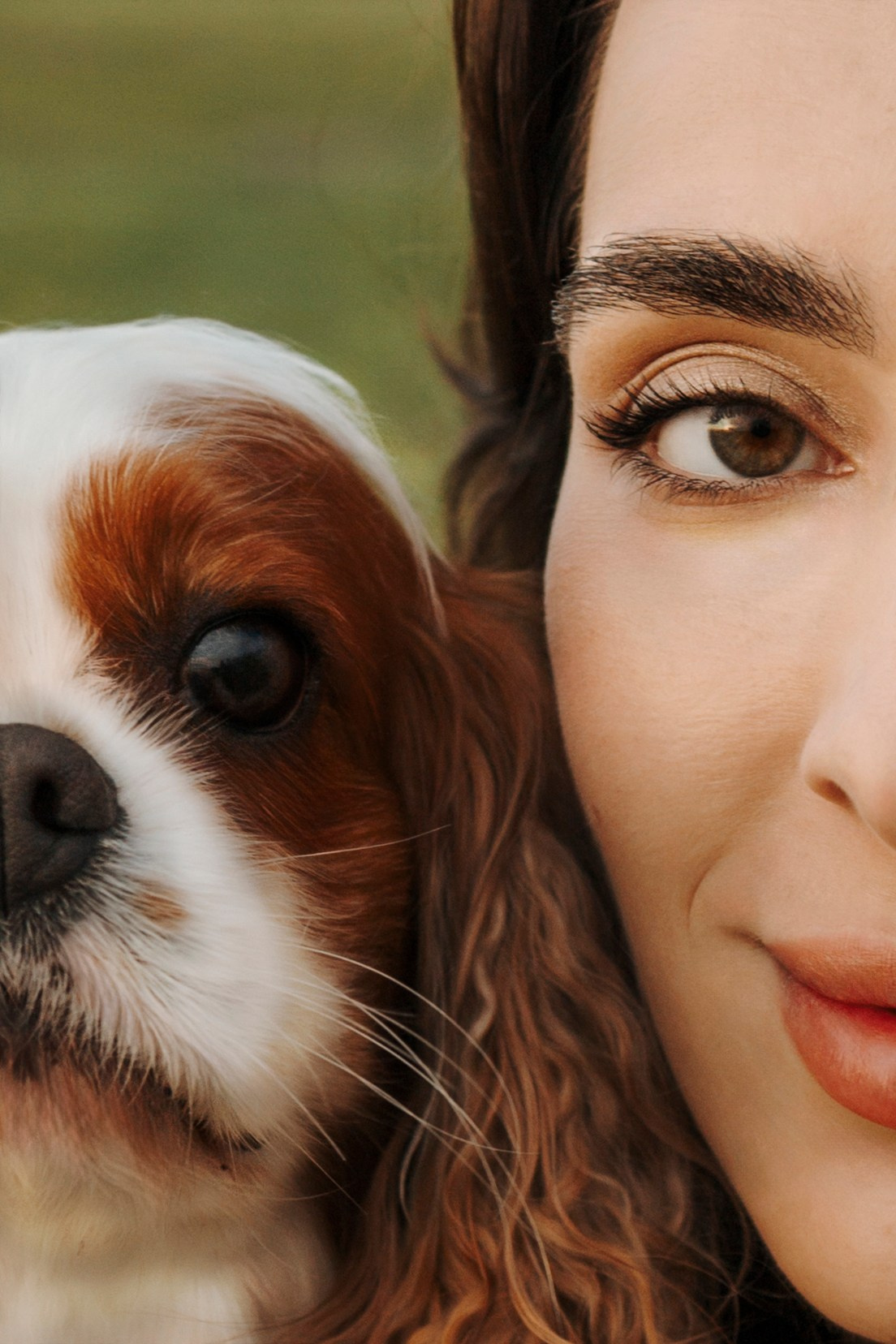 На закате Катерина, Луна и Рикки. Фотограф-анималист в Санкт-Петеребурге Титова Алиса