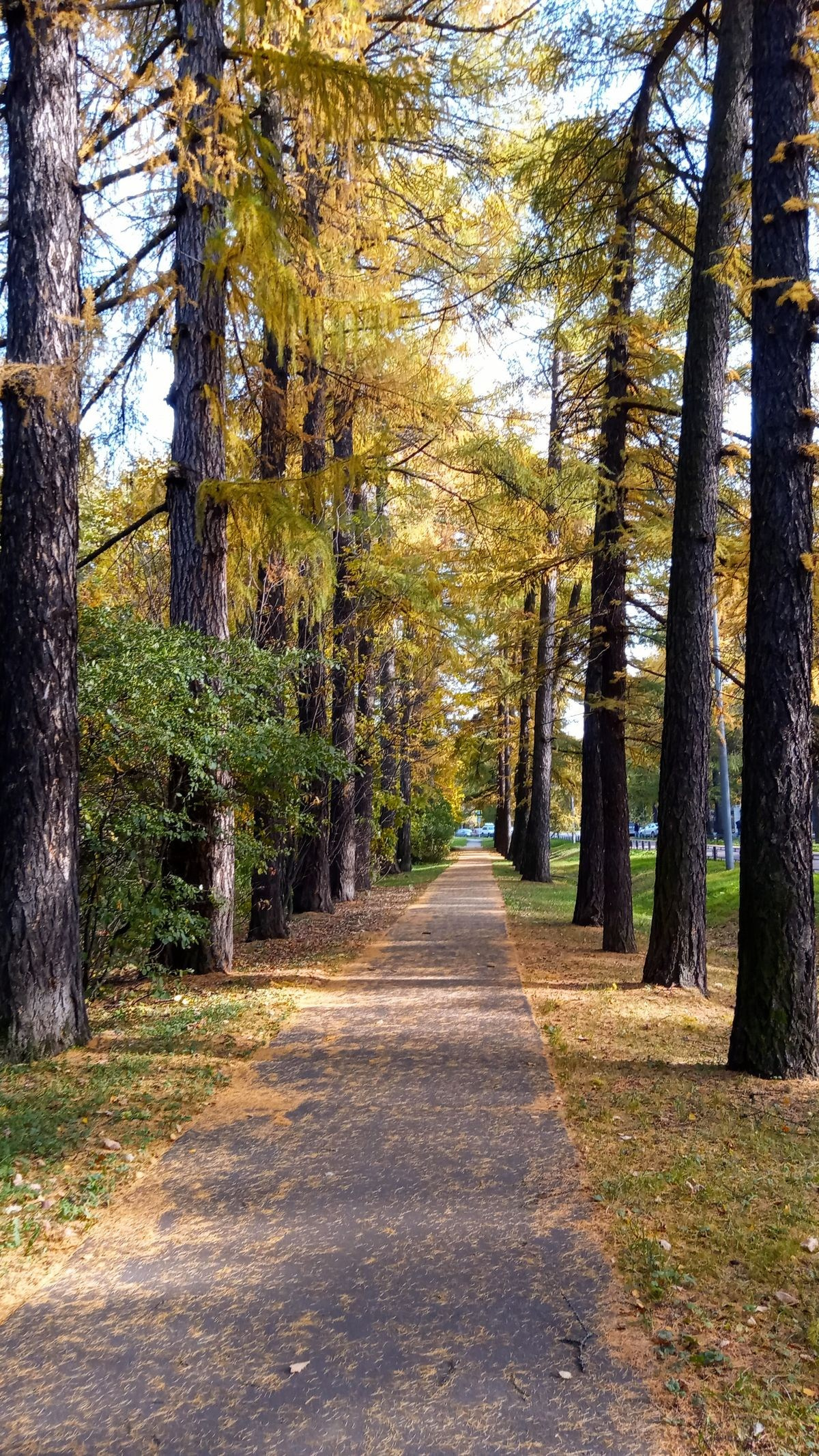 Энергия прогулки. Михаил Гапеев — Корпоративные подарки и сувенирная продукция с логотипом в Москве